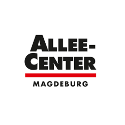 Allee-Center Magdeburg · Weihnachtsdekoration · Umsetzung